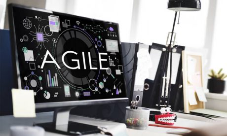 Agile Certified Practitioner