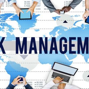 Risk Management Professional Training