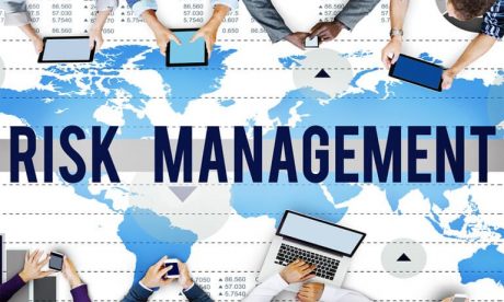 Risk Management Professional Training