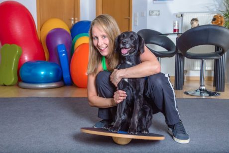 Advanced Diploma in Pet Physical Therapy at QLS Level 3