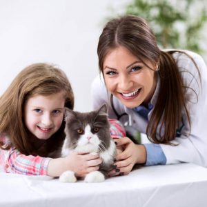 Advanced Diploma in Veterinary Care Assistant at QLS Level 3