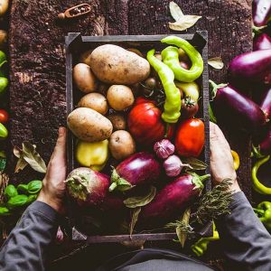 Organic Gardening Diploma - Level 4