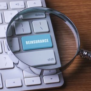 Reinsurance - Level 4